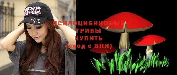 spice Волоколамск